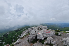 viber_slika_2026-02-15_18-34-19-384