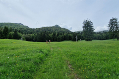 viber_slika_2026-02-15_18-34-19-898