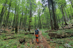 viber_slika_2026-02-15_18-34-20-755