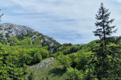 viber_slika_2026-02-15_18-34-21-410